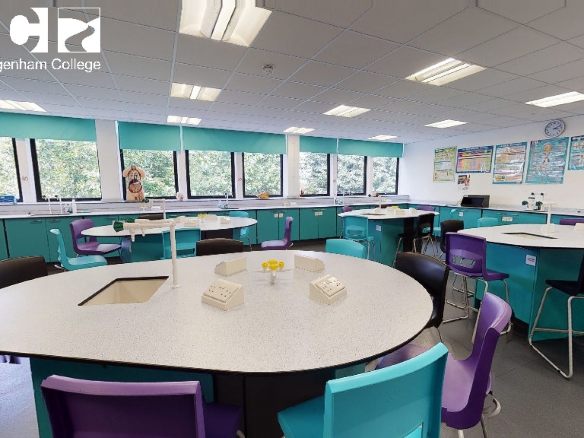 Mmyn41x9d8qipn08h0k58wgfd mmyn41x9d8qipn08h0k58wgfd 1