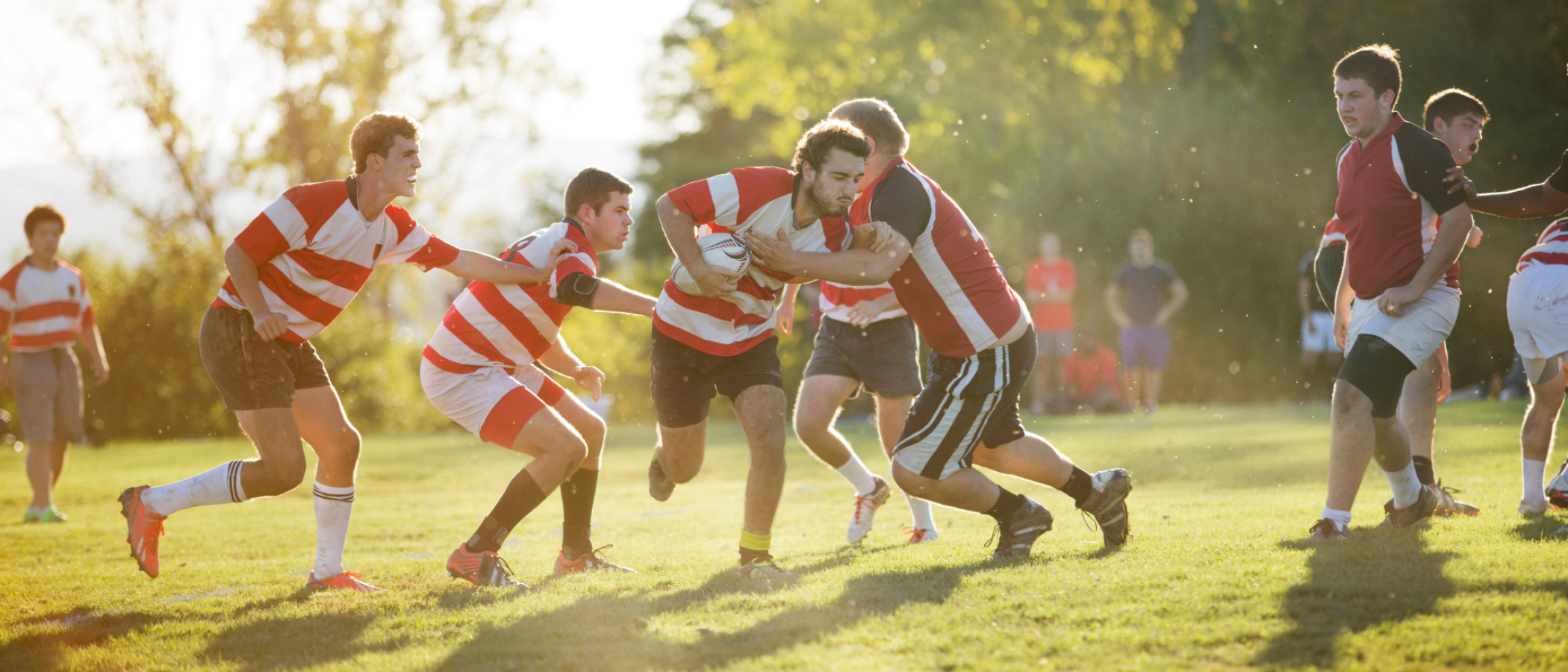 Players compete for possession of the ball during a rugby match on a grass field, with teammates surrounding the action in bright afternoon sunlight.