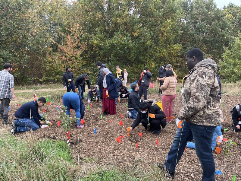 Students with SEND help grow a greener Dagenham 2