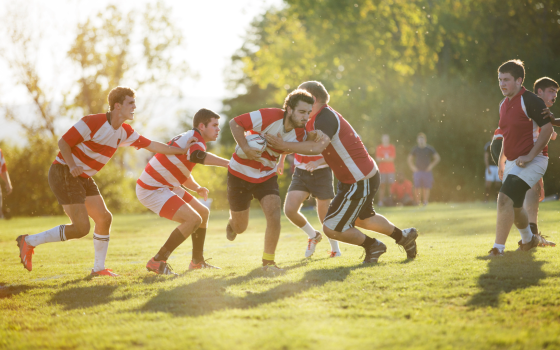 Players compete for possession of the ball during a rugby match on a grass field, with teammates surrounding the action in bright afternoon sunlight.
